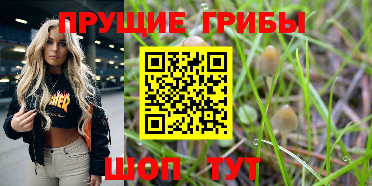 Метадон  Вход с VPN  ТГК  Зерноград  Гашиш  Меф   ГАШИШ  А ПВП СК   Бошки Шишки  КОКАИН 