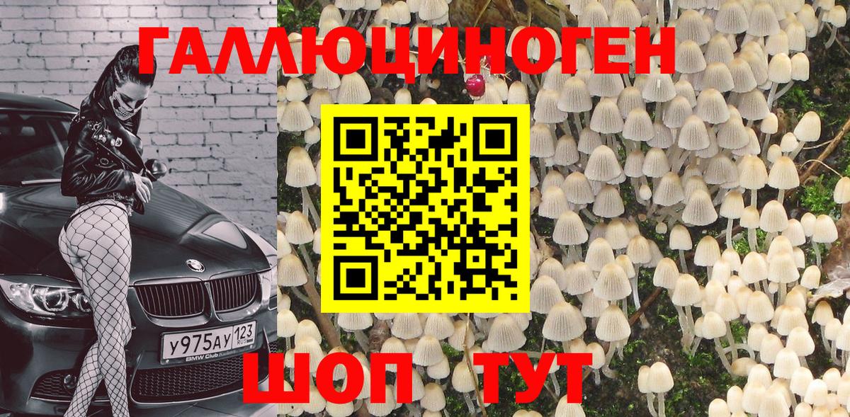 Псилоцибиновые грибы GOLDEN TEACHER Зерноград