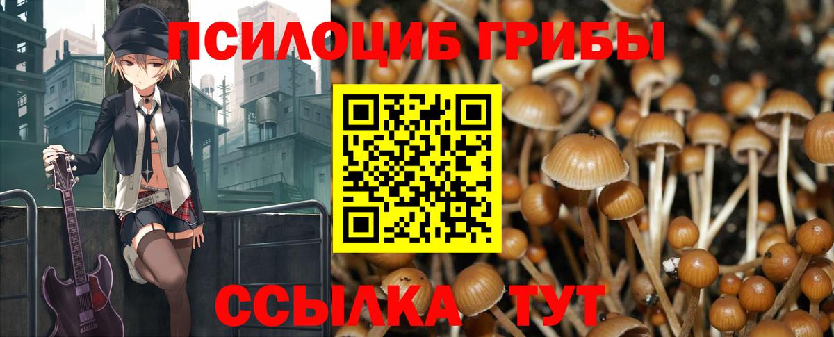 Зерноград  Псилоцибиновые грибы Psilocybine cubensis  Вход с VPN  Галлюциногенные грибы ЛСД 